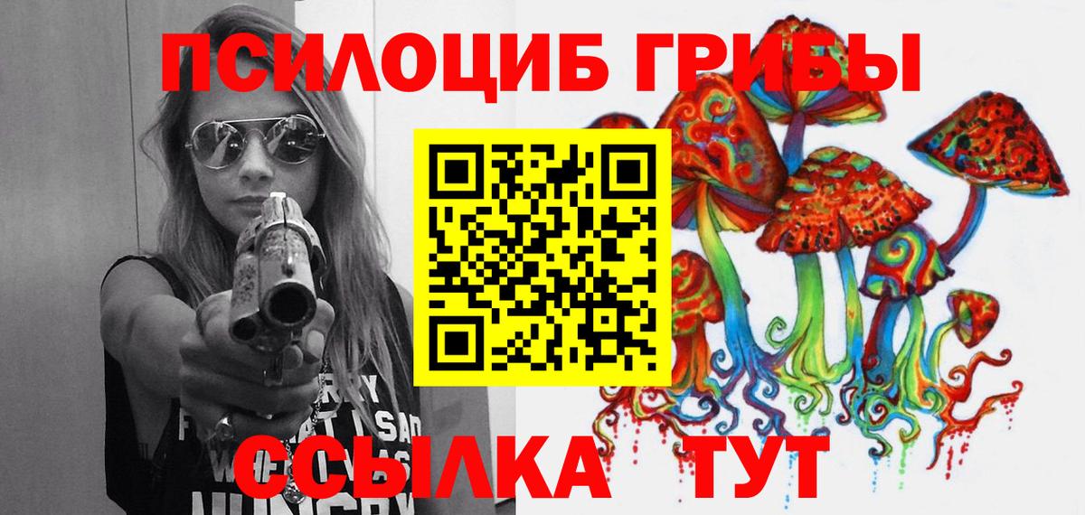 Псилоцибиновые грибы MAGIC MUSHROOMS  Псилоцибиновые грибы Psilocybe  Вход с VPN  Россия 